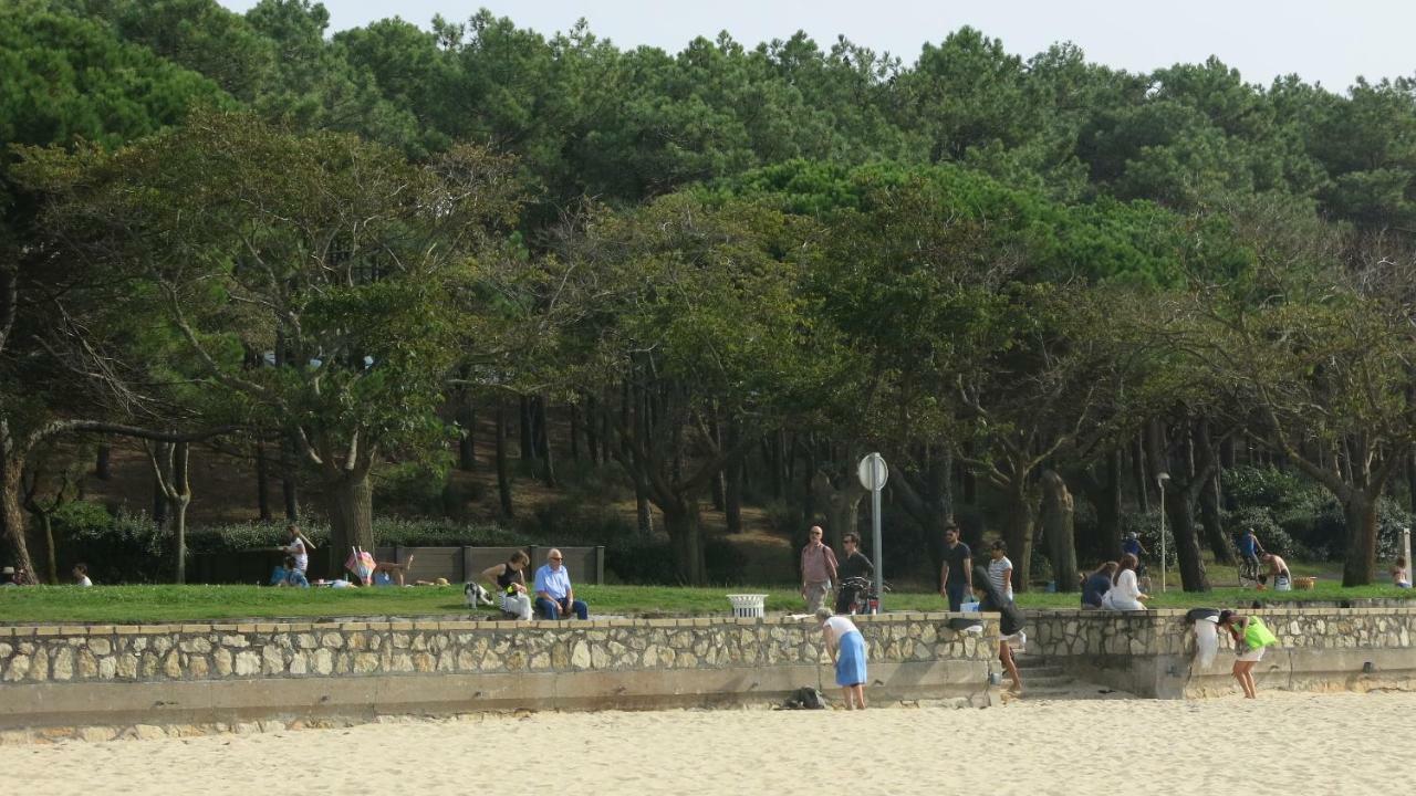 La Jetee Des Marins - Studio 103 Daire Arcachon Dış mekan fotoğraf